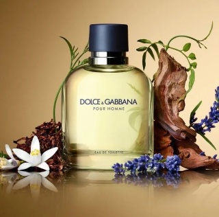 DOLCE GABBANA POUR HOMME WODA TOALETOWA